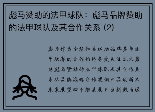 彪马赞助的法甲球队：彪马品牌赞助的法甲球队及其合作关系 (2)