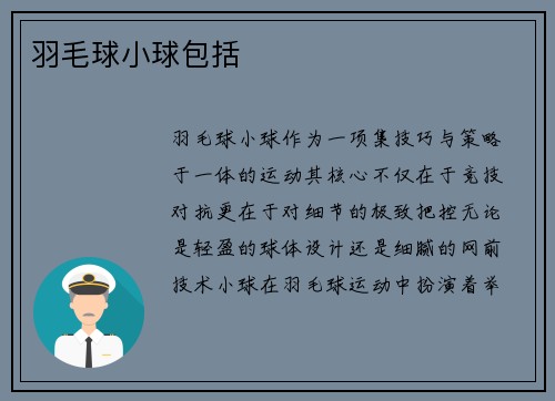 羽毛球小球包括